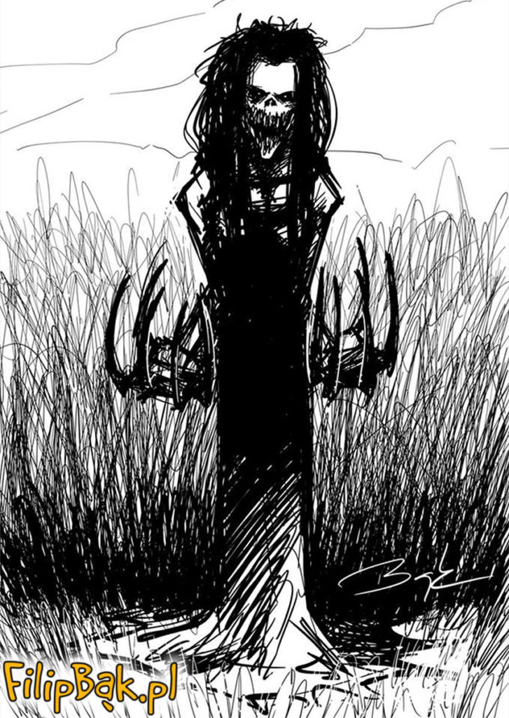 ilustracja na zamówienie