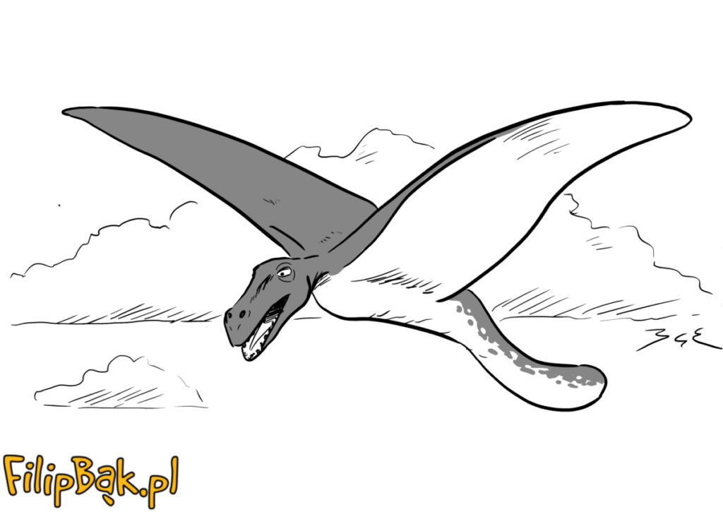 ilustracja na zamówienie