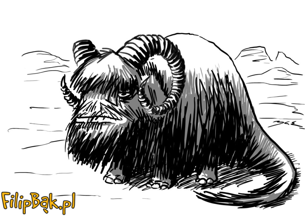 ilustracja na zamówienie