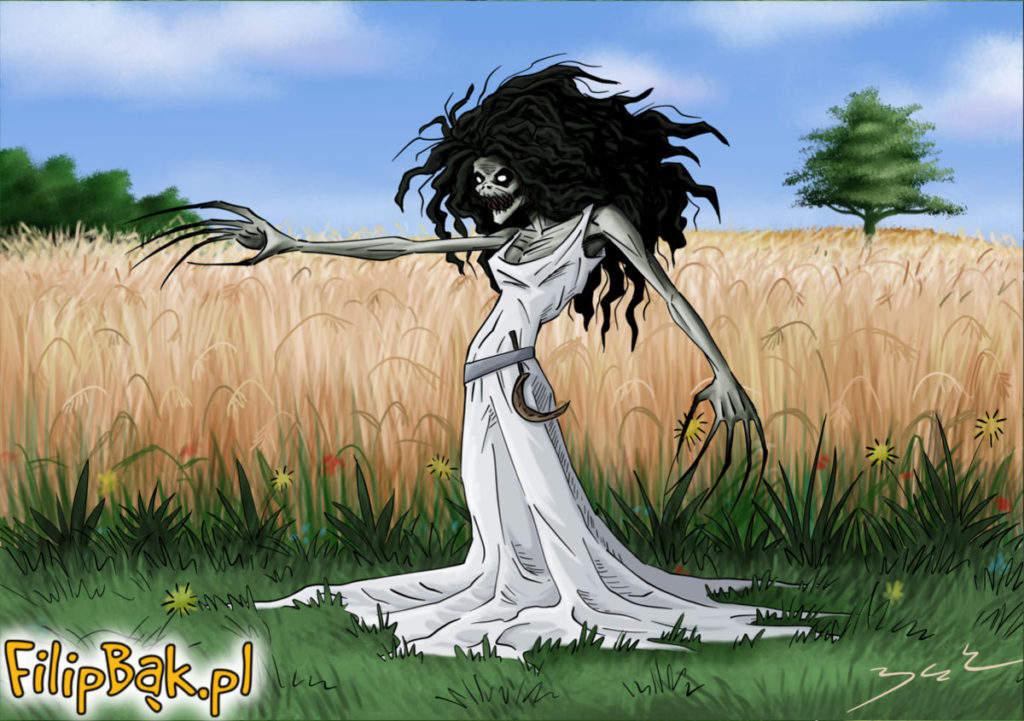 ilustracja na zamówienie