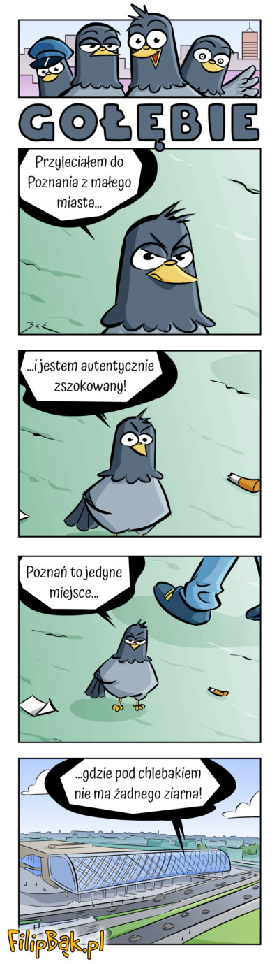 ilustrator_poznań